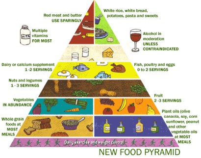 Food and Nutrition Diagram Chart