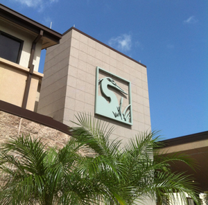 Picture of Hendry Regional Medical Center logo of a Pelican on the building