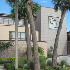 Picture of The Hendry Regional Medical Center with Palm Trees in front of building